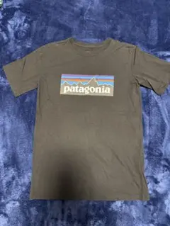 patagonia ブラックTシャツ　XL14