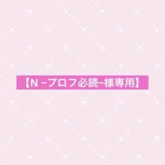 【N ~プロフ必読~様専用】