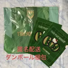 新品 東京ヴェルディ ニチガスDAY エコバッグ クリアファイル 2枚 キティ