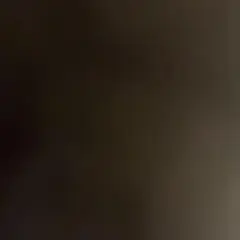 DENALIブラック単品