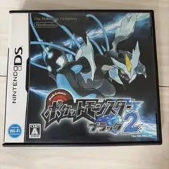 Nintendo DSゲームソフト ポケットモンスター ブラック2
