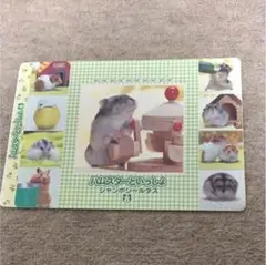 ハムスターといっしょ ジャンボシールダス　平成レトロ