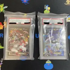 2025年最新】アクア団のカイオーガ psa10の人気アイテム - メルカリ