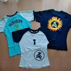 Tシャツ 3枚セット