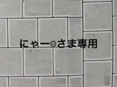にゃー☺︎さま　ハンドメイド♡ジャガードニットのラグランT フェアアイルリーフ柄