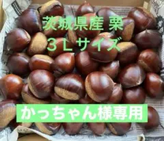 かっちゃん様専用