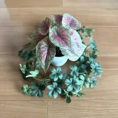 Item thumbnail for item e746a578-e49e-4c1f-9040-1e31b5d05af9