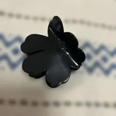 Item thumbnail for item dda32b49-7162-45f9-920f-882894d157af