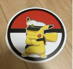 ★★最安値★★ ピカチュウ×メタモン　ポケモンうちわ型リーフレット