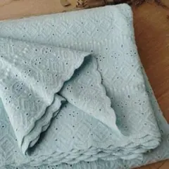 【SALE♪】ダブルガーゼ ＊コットン刺繍レース生地 ＊ スカラップ
