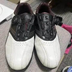 TIGORA ゴルフシューズ スパイクレス ホワイト/ブラウン 26.0