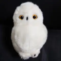 フクロウ ぬいぐるみ