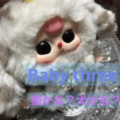 もう少し気まぐれお値下げ♡Baby three カード付き⭐︎ゴマソースわんちゃん