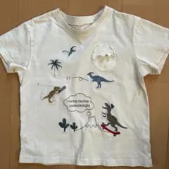 恐竜柄 半袖Tシャツ 120cm