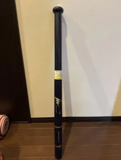 Item thumbnail for item 32e80014-a089-4927-a59a-f303c54af76b