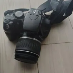 Item thumbnail for item ea29dff0-1b37-4ee1-a1e9-2ecec25f3e66