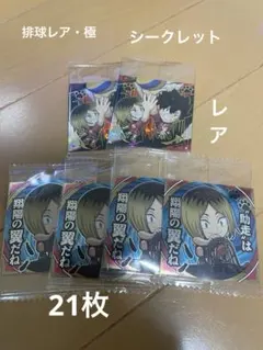ハイキューセール21枚【排球レア.極】【シークレット】 【レア】ゴミ捨て場の決戦