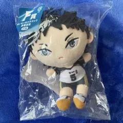 ハイキュー ！！ぬいもっち マスコット F賞 赤葦京治