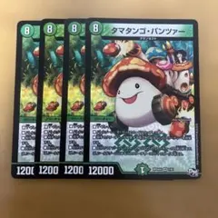 タマタンゴ・パンツァー　 4枚