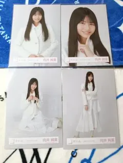 櫻坂46 向井純葉 生写真 三期生ブックレット衣装 コンプ - メルカリ