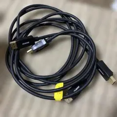 BENFEI DisplayPort to USB 1.8m ケーブル2本中古品
