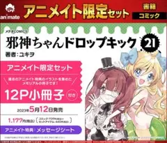 【新品】邪神ちゃんドロップキック 21巻 アニメイト 限定 12P小冊子