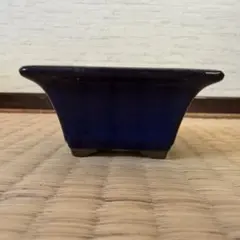 濃紺 四角形 陶器植木鉢　盆栽