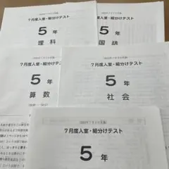 サピックス 5年7月度入室組分けテスト 2024年原本 - メルカリ