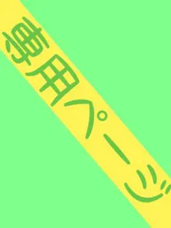 専用出品