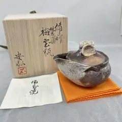 石田安弘 備前焼龍宝瓶 般若心经 人気作者 急須 共箱 共布 茶注 煎茶 茶道具 石田安弘 備前焼龍宝瓶 般若心经 人気作者 急須 共箱 共布 茶注