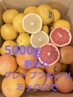 訳ありグレープフルーツミックスで　5キロのサムネイル