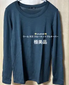 極美品⭐️Le pivot⭐️ ウール 天竺 クルーネックプルオーバー