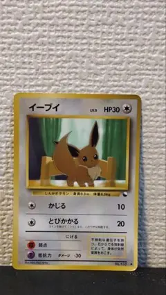 ポケモンカード イーブイ 旧裏 拡張シート