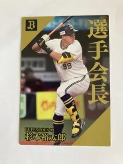 Item thumbnail for item 54a97e1c-7c91-4112-99bd-84e53885a00e