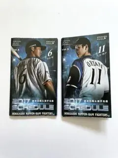 北海道日本ハムファイターズ 2017年 試合日程選手名鑑 大谷翔平&中田翔セットのサムネイル