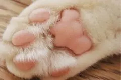 あいちゃん専用ページ✌︎( ᐛ )✌︎