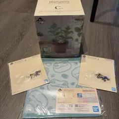 一番くじ 爬虫類＆両生類 Friends vol.3 C賞 G賞 I賞　カエル