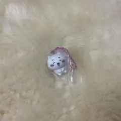 ちいかわ マスコット つき Biscuit ビスケット ちいかわ