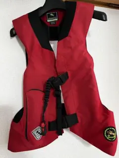 Item thumbnail for item 3dab4879-12d4-45af-8ebf-459da28f0c4b