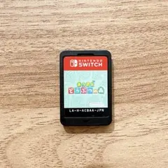 あつまれどうぶつの森 ソフトのみ