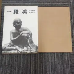 柳沢信 写真 1964-1986 書肆山田 初版 - メルカリ