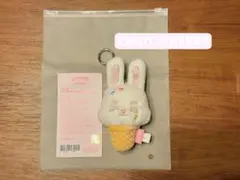 SEVENTEEN ミニティーン アイスクリーム エスクプス チェチェリ - メルカリ