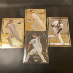 Item thumbnail for item e6414054-ffe6-4500-8269-68931efee873