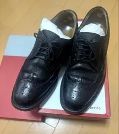 REGAL ウィングチップ 25EE