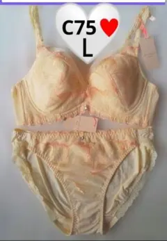 C75/Ｌ♥トリンプ　アモスタイル マーメイドシェル セット♥定価6710円