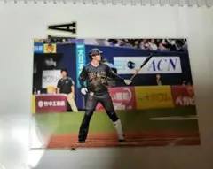 太田椋
