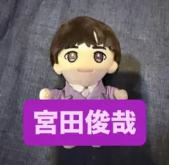 宮田俊哉 ぬいぐるみ
