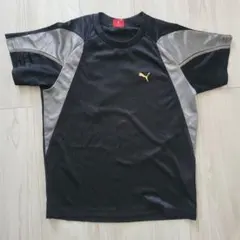 Puma 半袖Tシャツ 140サイズ 黒/金