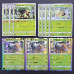 ナエトル4枚　ハヤシガメ4枚　ドダイトス3枚