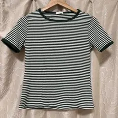 緑ストライプ 半袖Tシャツ